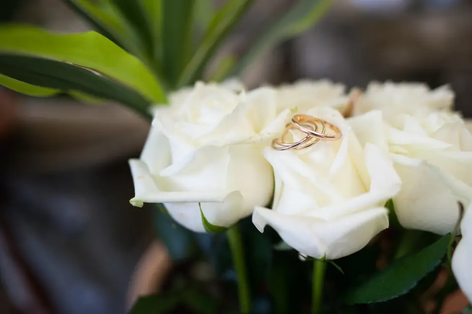 Les Mariés de Garance — photo 5