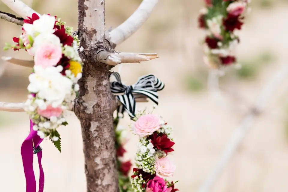 Laura Fauve Photographe — photo 1