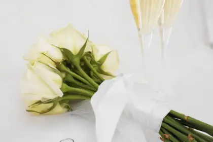 Aviva Concept — photo 5