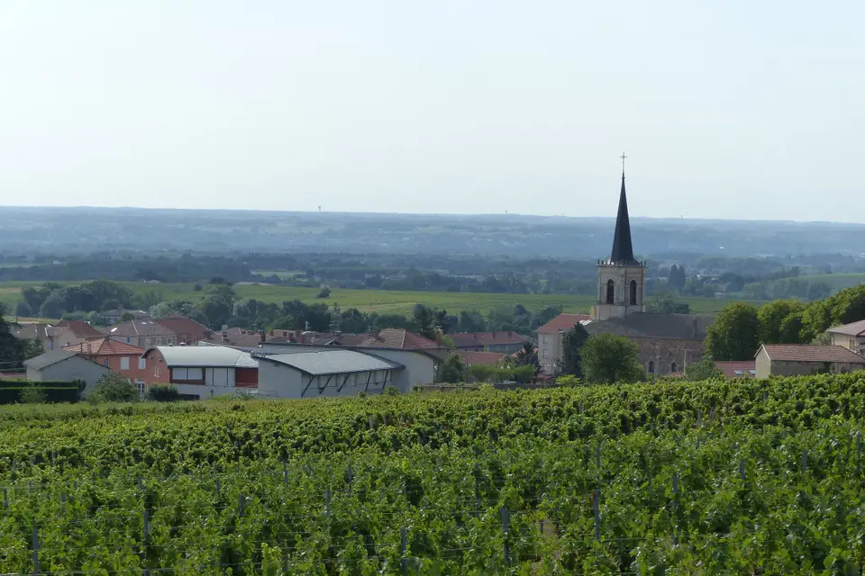 Maison Després — photo 7