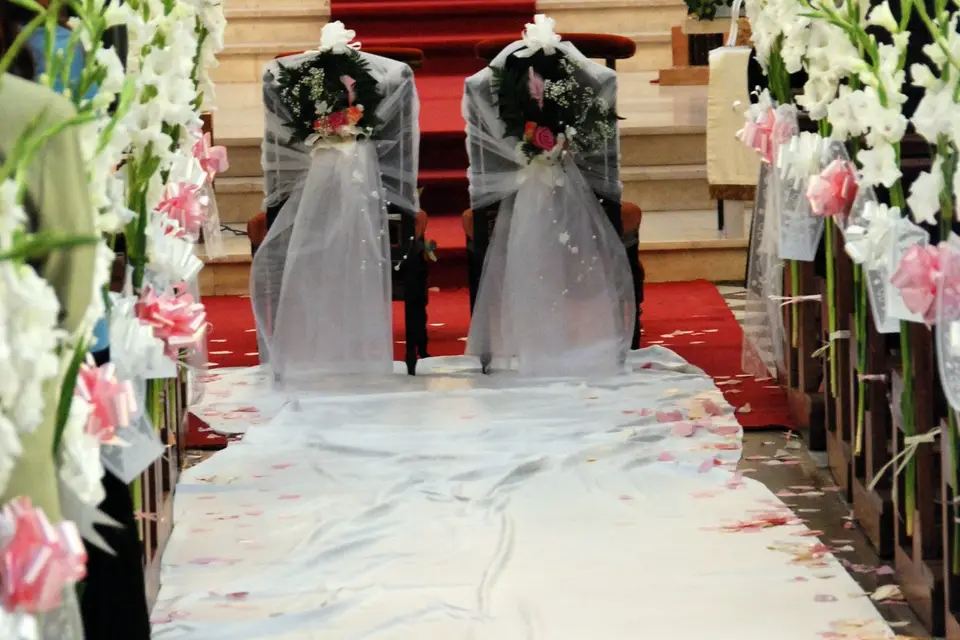 Tiges et Pétales — photo 7