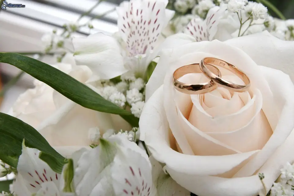 Audrey G — photo 5