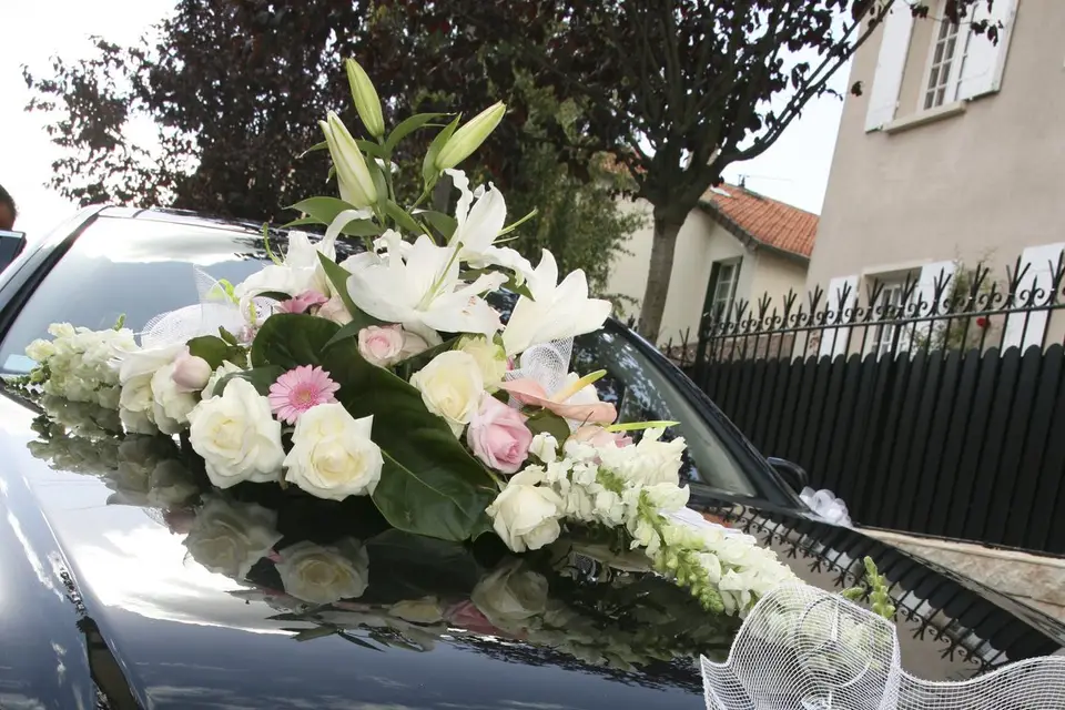 Tiges et Pétales — photo 6