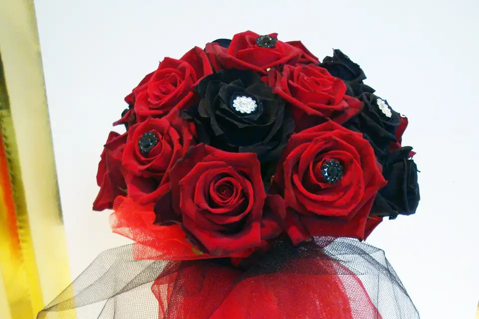 Tiges et Pétales — photo 4