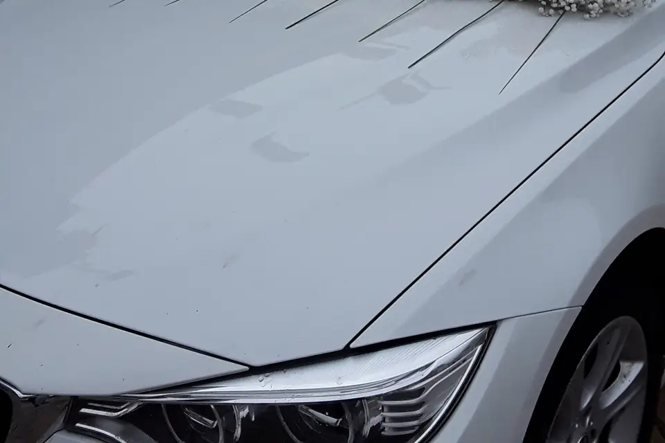 Il était une fleur — photo 3