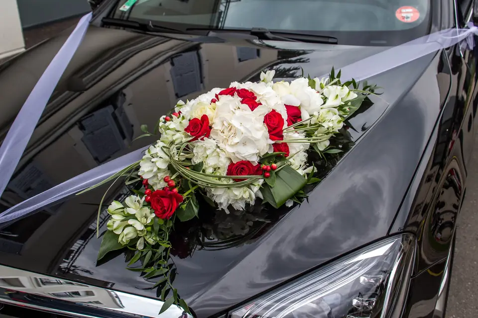 Main Events — photo 4