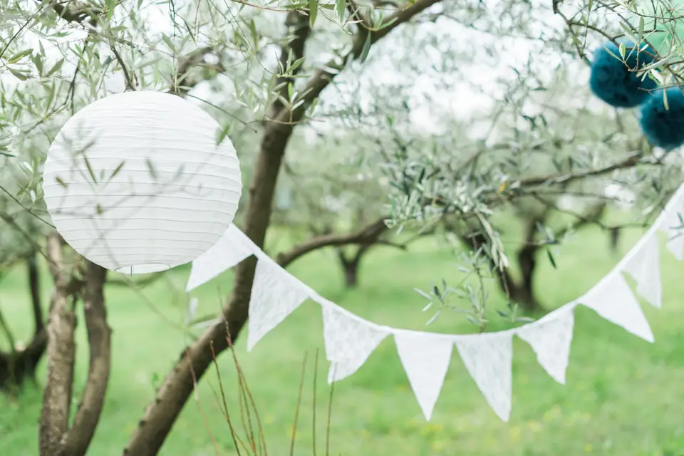 Lin Mandarine — photo 2