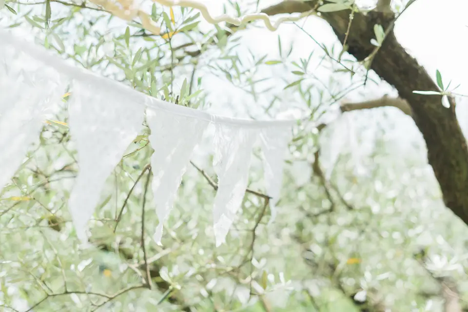 Lin Mandarine — photo 3