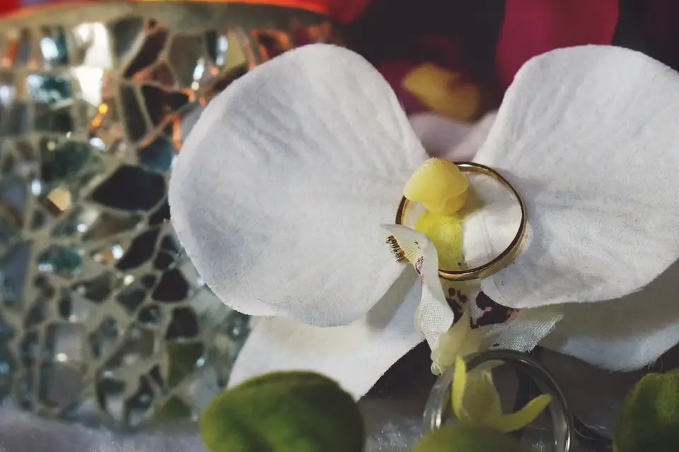 Black Snail Movies — photo 7