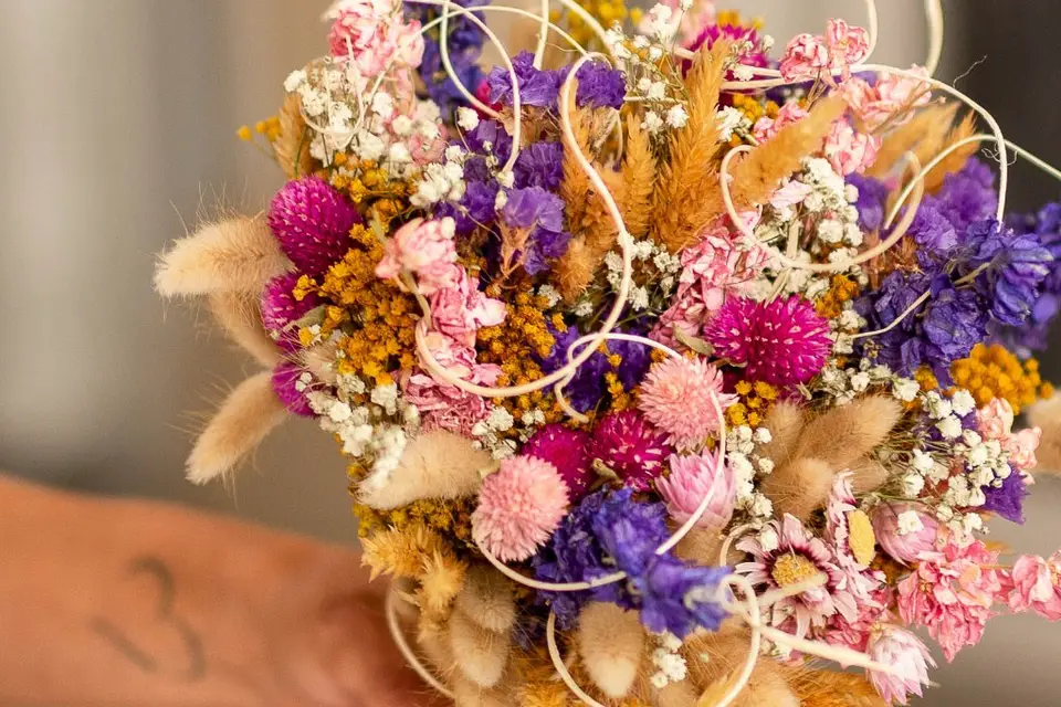 La valse des images — photo 8