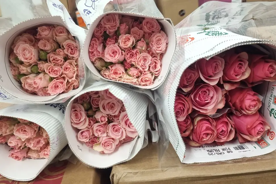 Mundo Flowers — photo 1