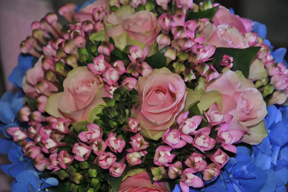 AbK Ambiance by Katia — photo 8