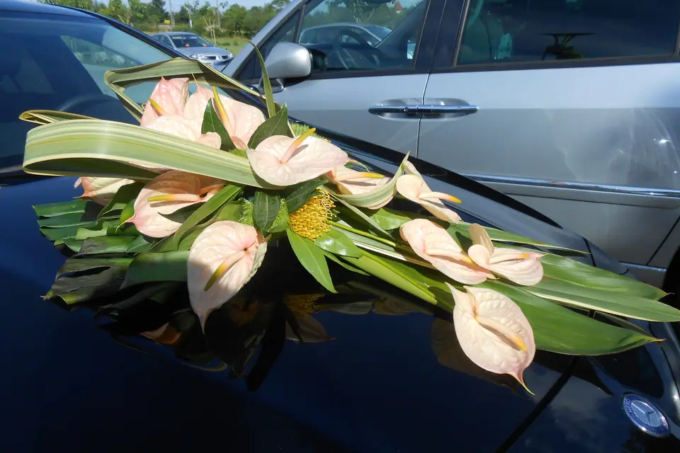 AbK Ambiance by Katia — photo 7