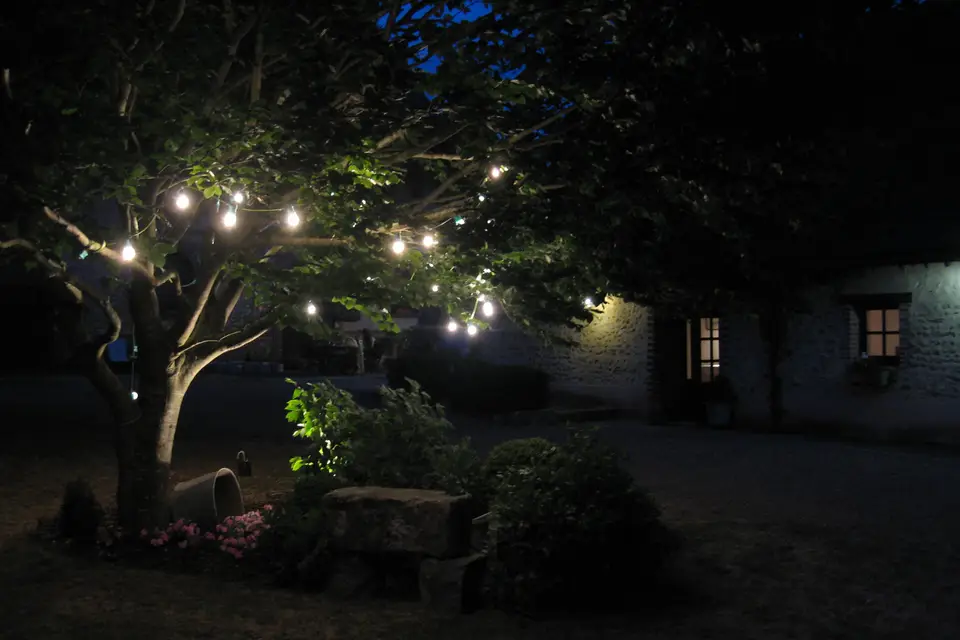 La Ferme au Colombier — photo 8