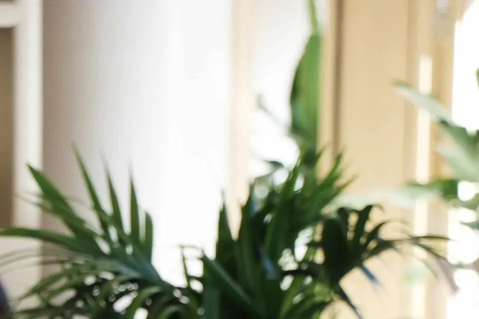 Café Laffitte — photo 3