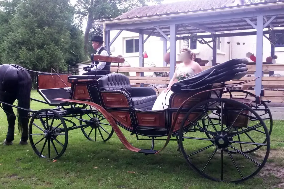 Ecurie les Crinières au Vent — photo 1