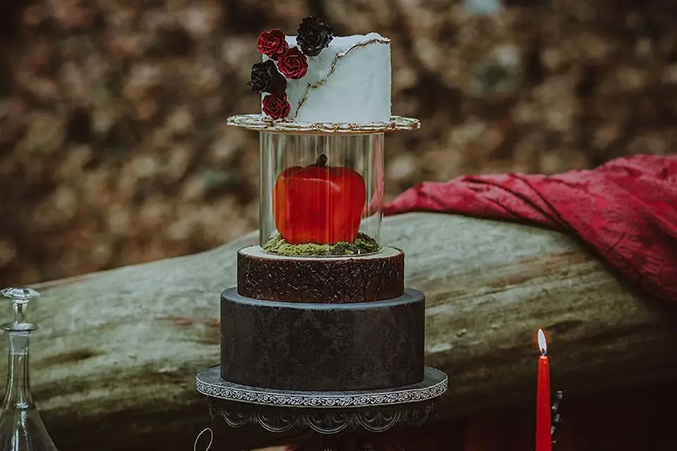 Zebra Cakes Art — photo 5