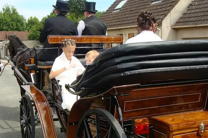 Ecurie les Crinières au Vent — photo 3