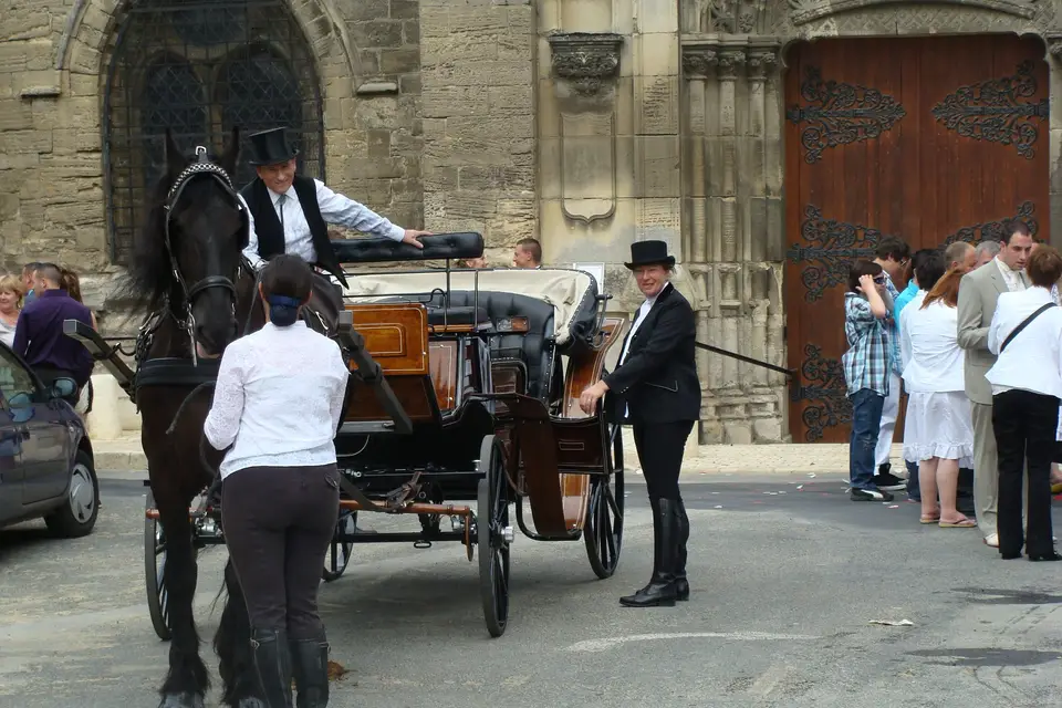 Ecurie les Crinières au Vent — photo 4