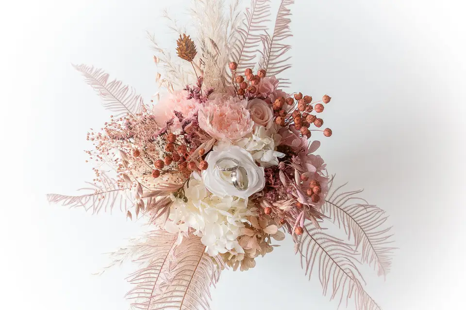 Mily Photographie — photo 1