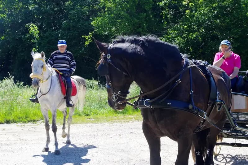 Ecurie les Crinières au Vent — photo 8