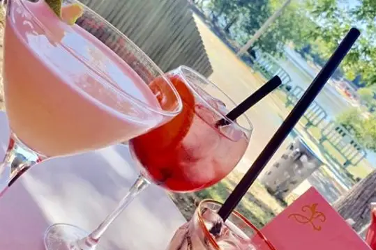 Les Terrasses de l'Erdre — photo 8