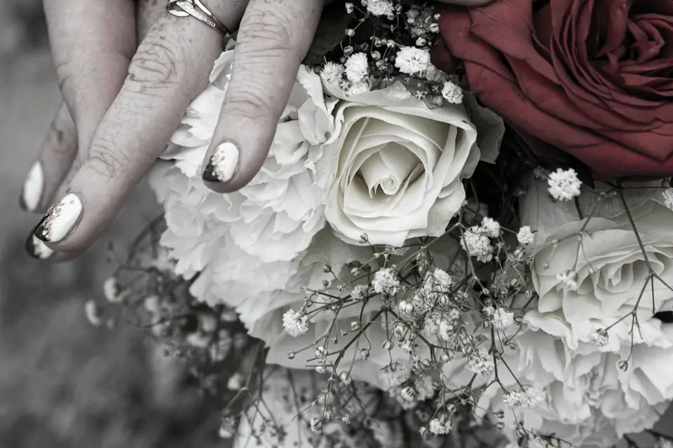 Fée D'Clics — photo 6