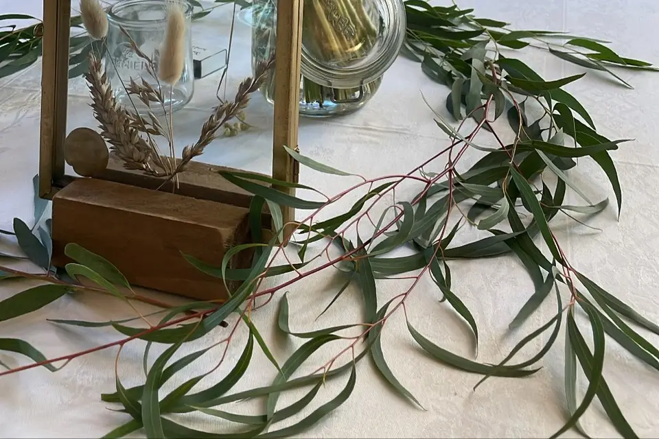 Les Fleurs Van Uffelen — photo 5