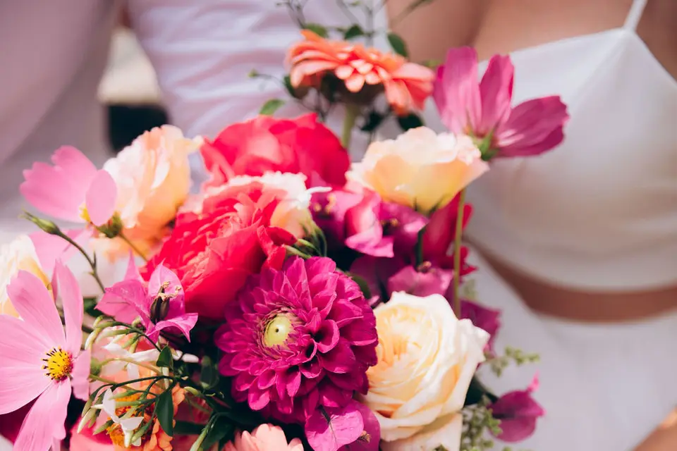 La Butinerie — photo 1