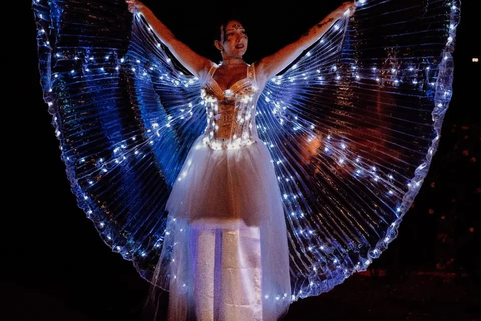 Nelly Show 2.0 — photo 6