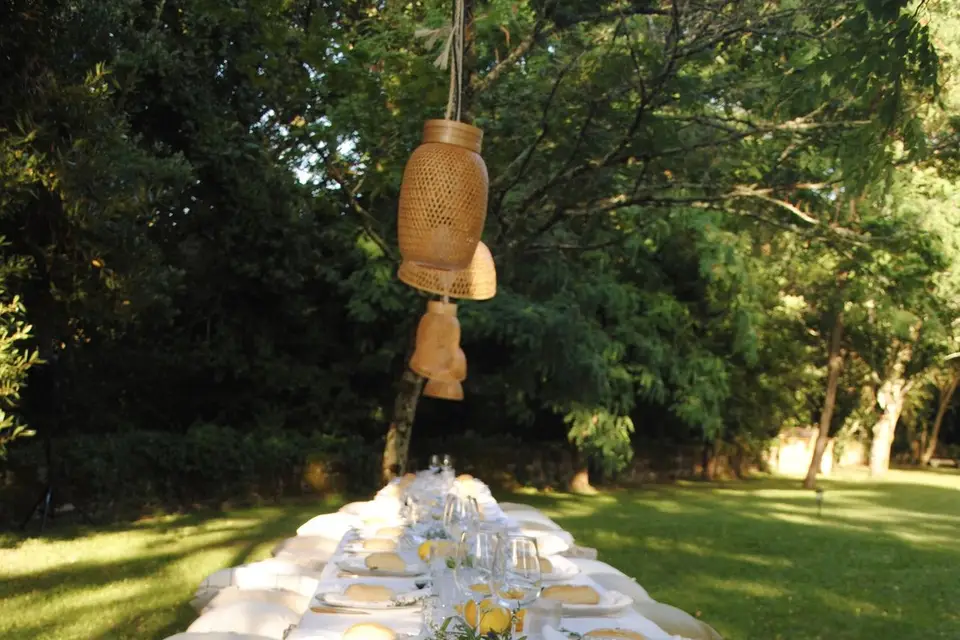 MGN Events — photo 6