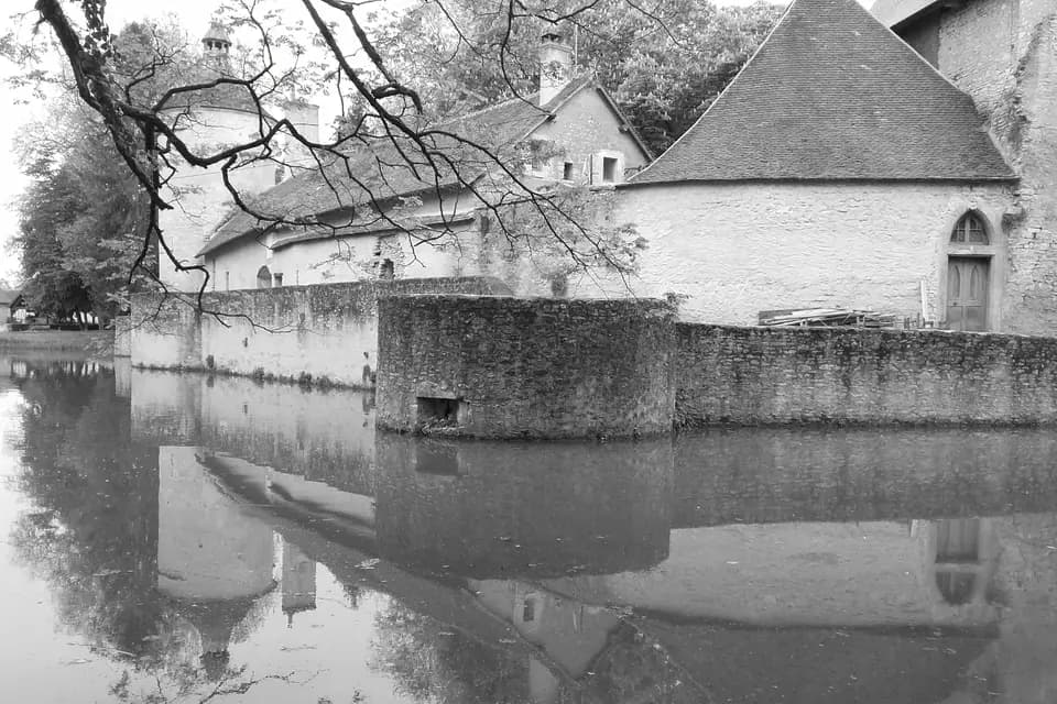 Château De Bannegon — photo 4