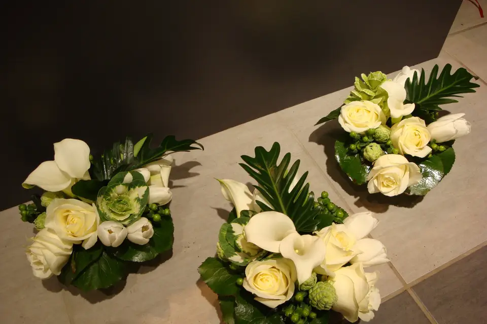 Florazur Hoya Bella — photo 8