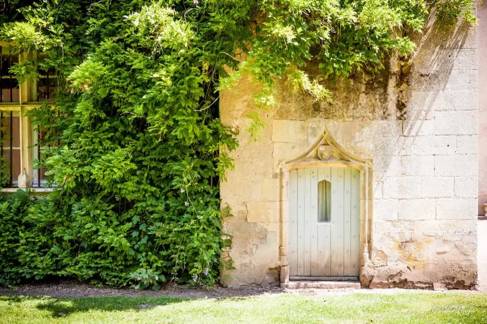 Château De Bannegon — photo 8