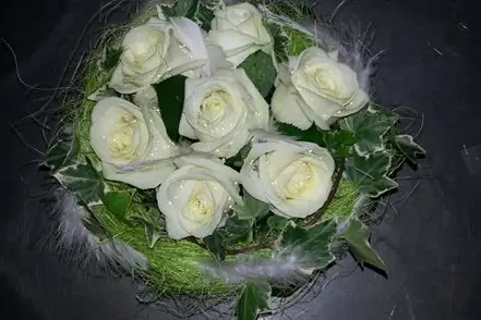 Florazur Hoya Bella — photo 1