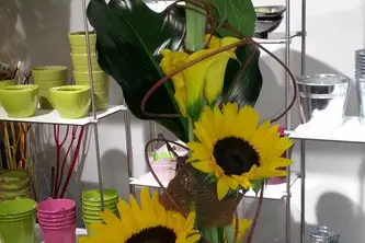 Florazur Hoya Bella — photo 5