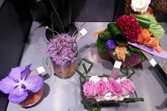 Florazur Hoya Bella — photo 6