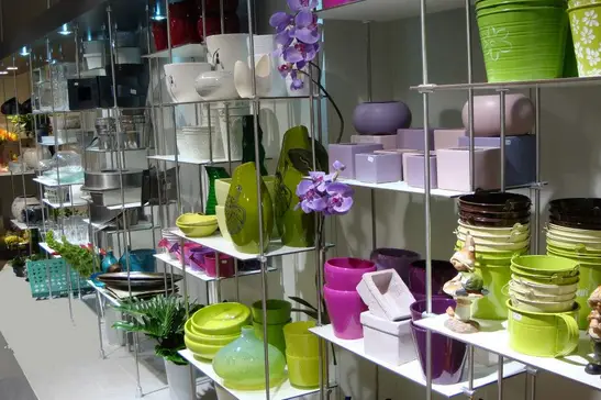 Florazur Hoya Bella — photo 2