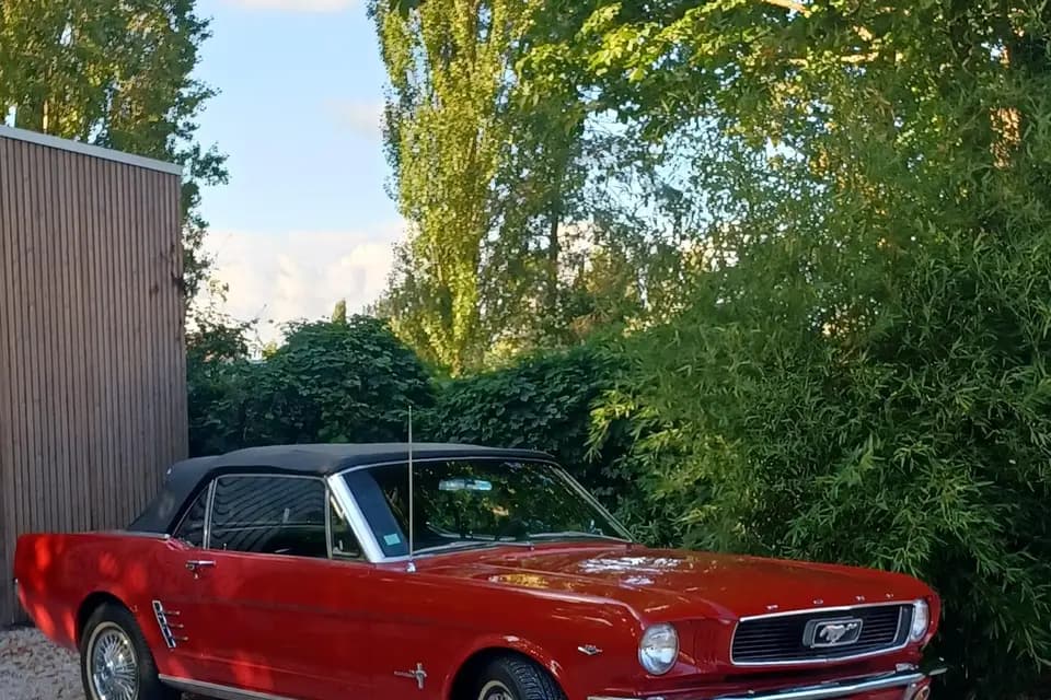 Christophe Ford Mustang — photo 1