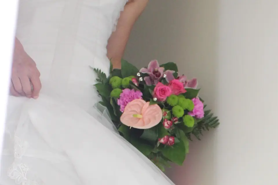 Le Pied a l'Etrier — photo 7