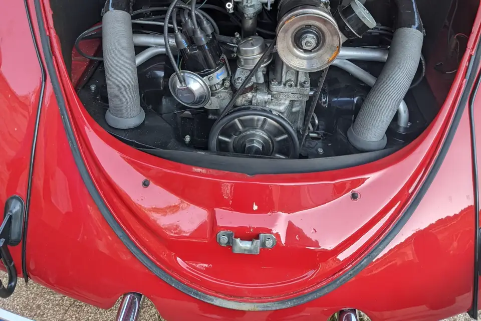 Cocci Loc — photo 3