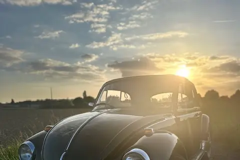 Cocciwel' — photo 4