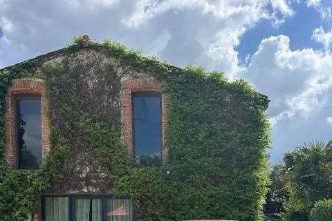 Cocciwel' — photo 3