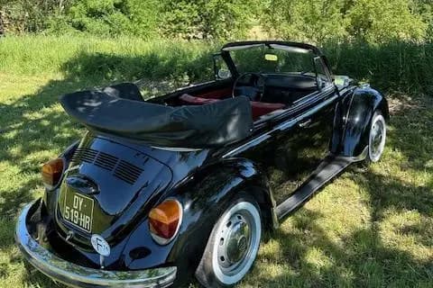 Cocciwel' — photo 8