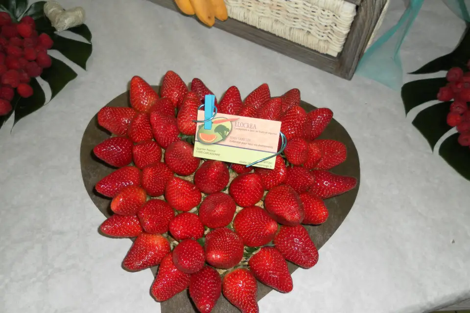 Elocréa — photo 7