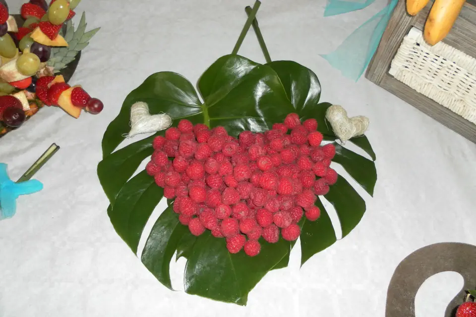 Elocréa — photo 8