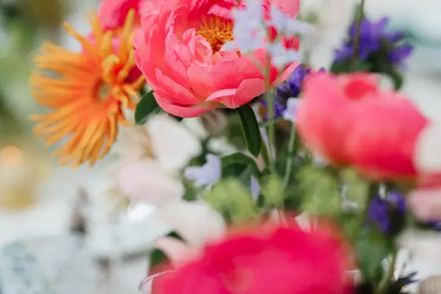 Les Belles Histoires — photo 3