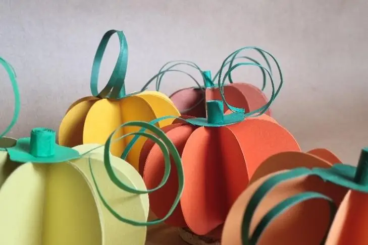 CatEvents — photo 8