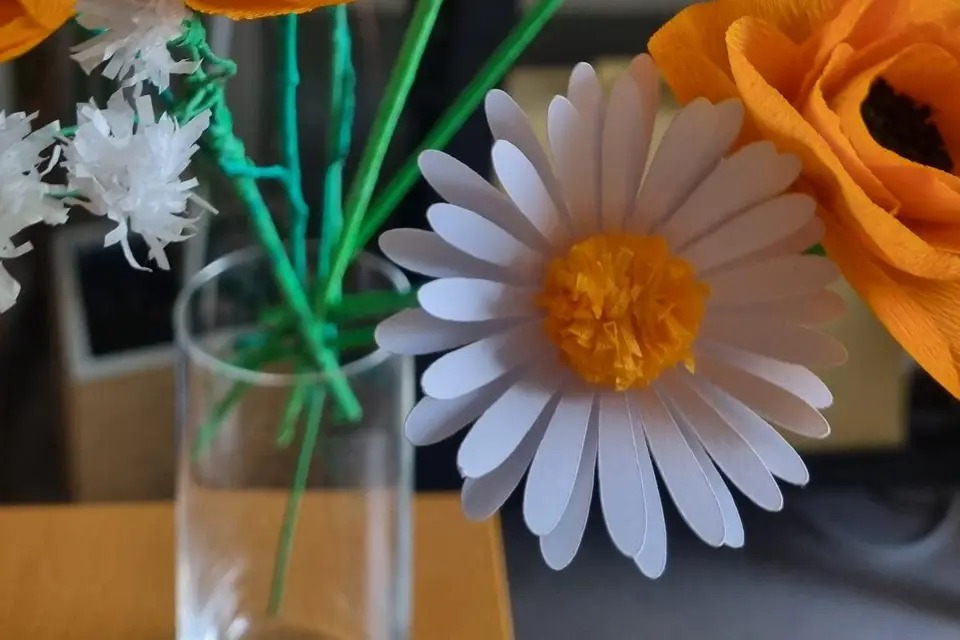 CatEvents — photo 4