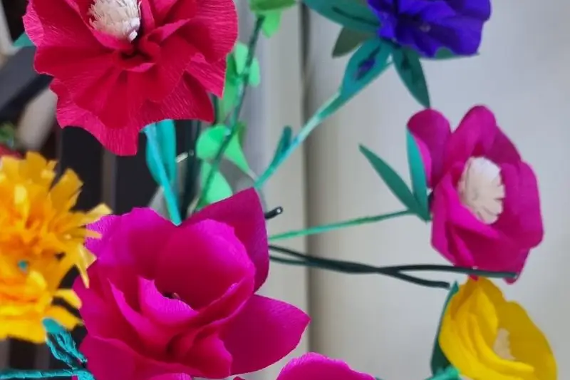 CatEvents — photo 2